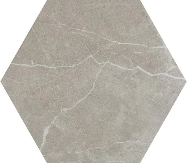 Spanish porcelain hexagon 20×24 D485