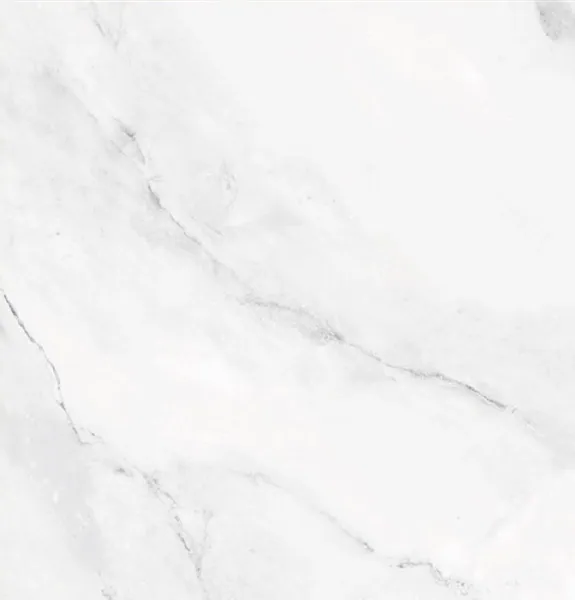 Indian porcelain, 60×60, Gloss 6828