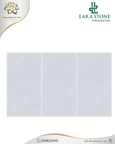 Chinese porcelain 60×120, Gloss 6655
