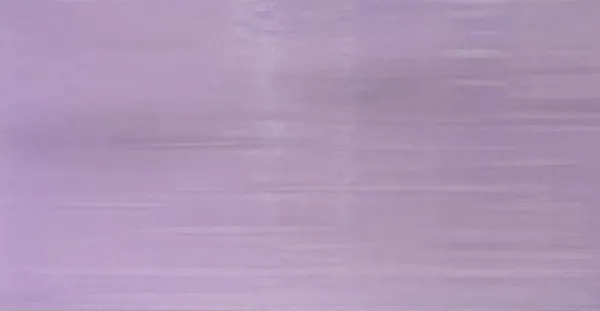 חיפוי קרמיקה ספרדית ⁦25×50⁩ 1355