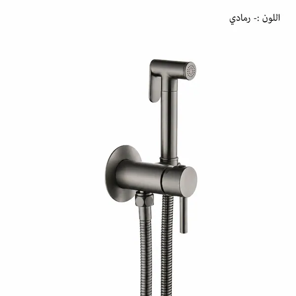 מזלפי בידה, מזלפי בידה סמויים X593