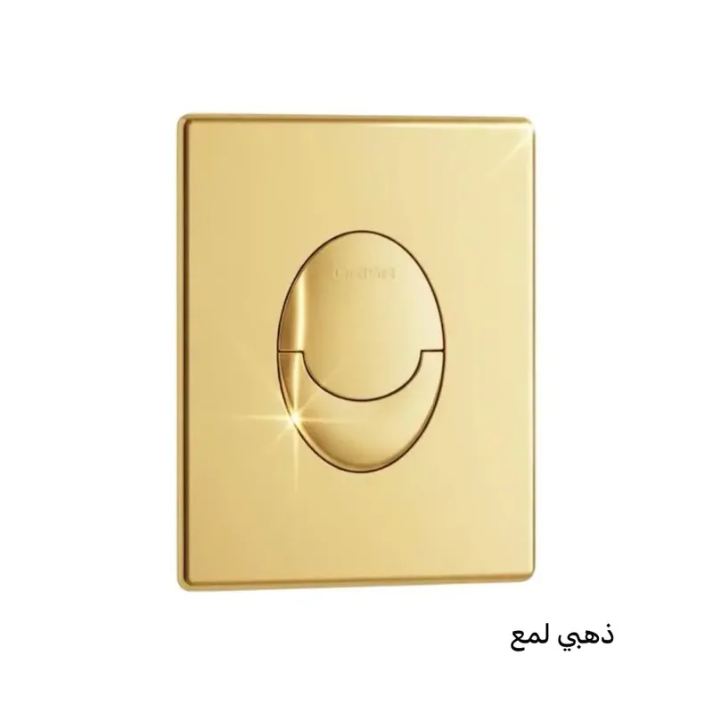 X790 Bathroom accessories, GROHE-style flush buttons, Product