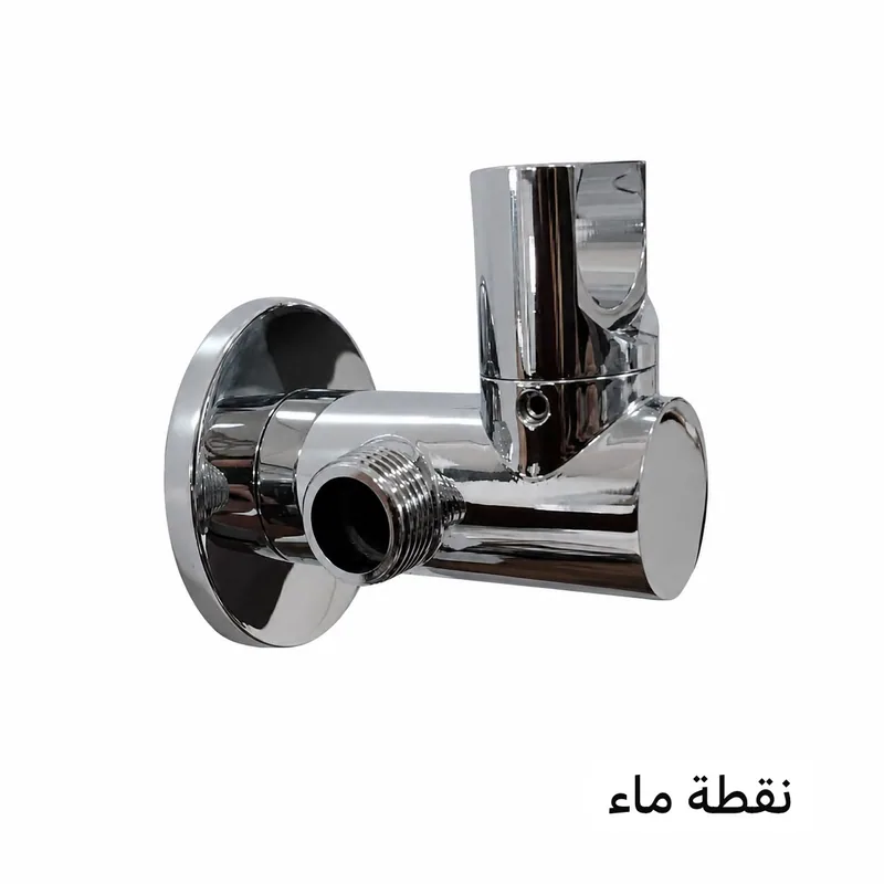 X169 Valves, Product