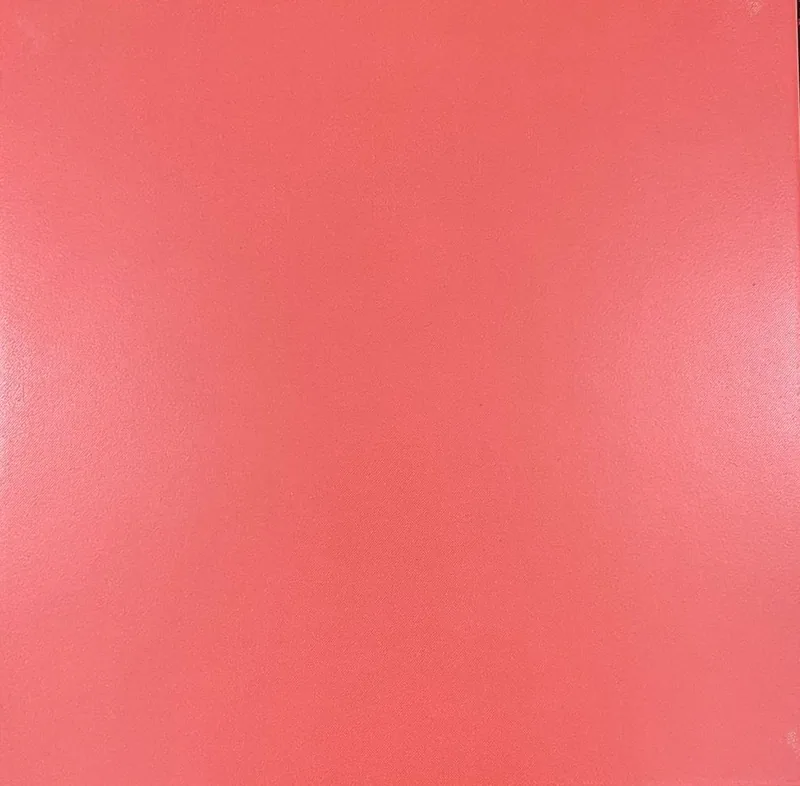 302 بورسلان اسباني، ⁦33×33⁩, المنتج