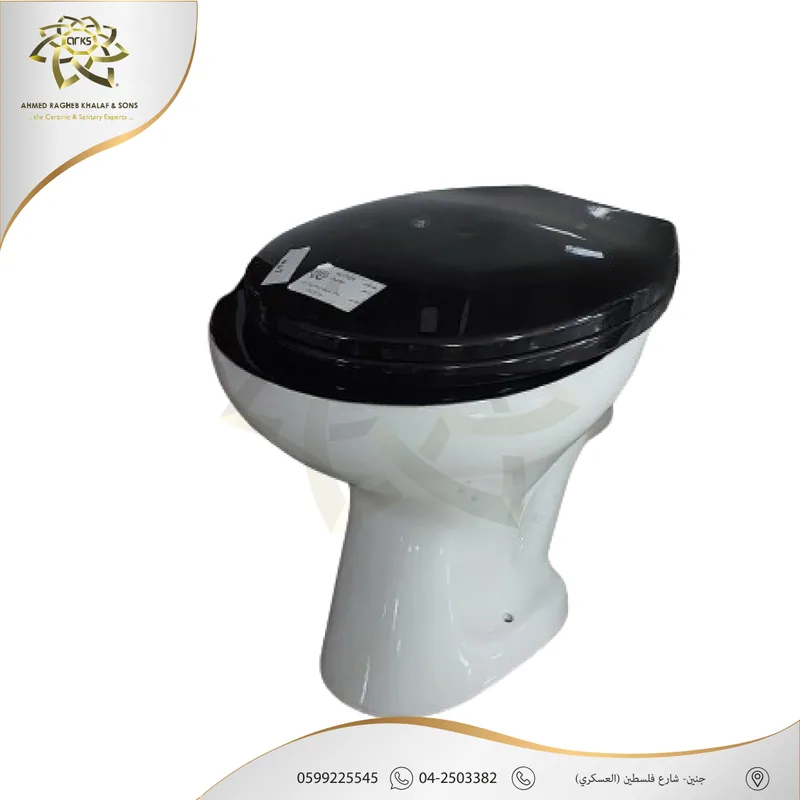 M803 Monoblock toilets, Product