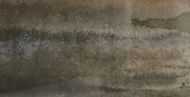 1343 חיפוי קרמיקה ספרדית ⁦25×50⁩, המוצר