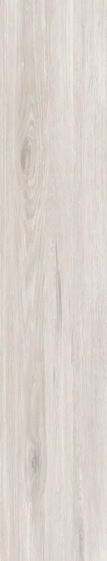 2119 Spanish porcelain matte 23×120, Product
