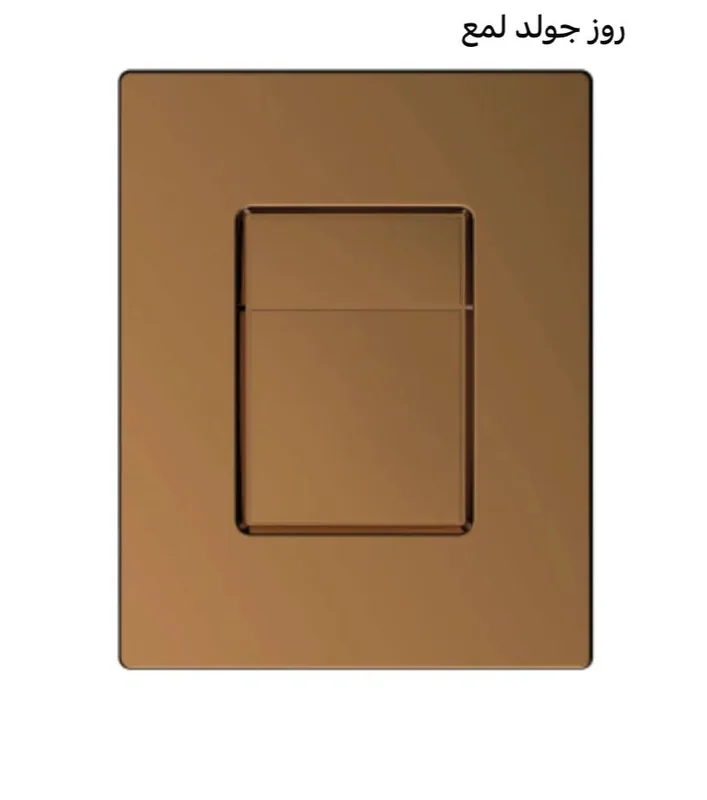 X769 Bathroom accessories, GROHE-style flush buttons, Product